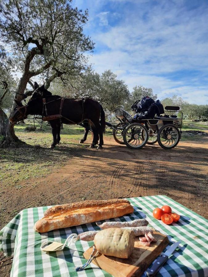 Can Barraca Avinyonet de Puigventós Esterno foto