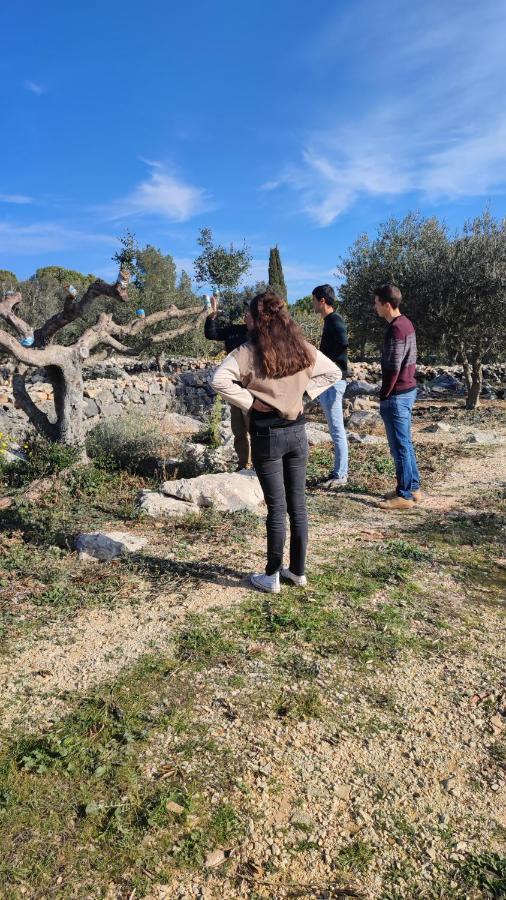 Can Barraca Avinyonet de Puigventós Esterno foto